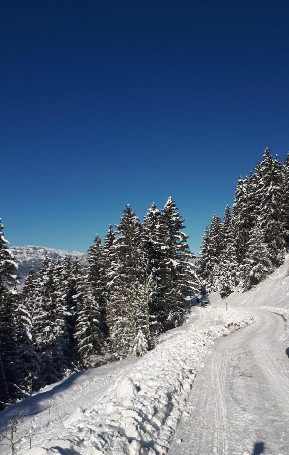 Vvf Les 7 Laux Massif De Belledonne Hotel Prapoutel Eksteriør billede