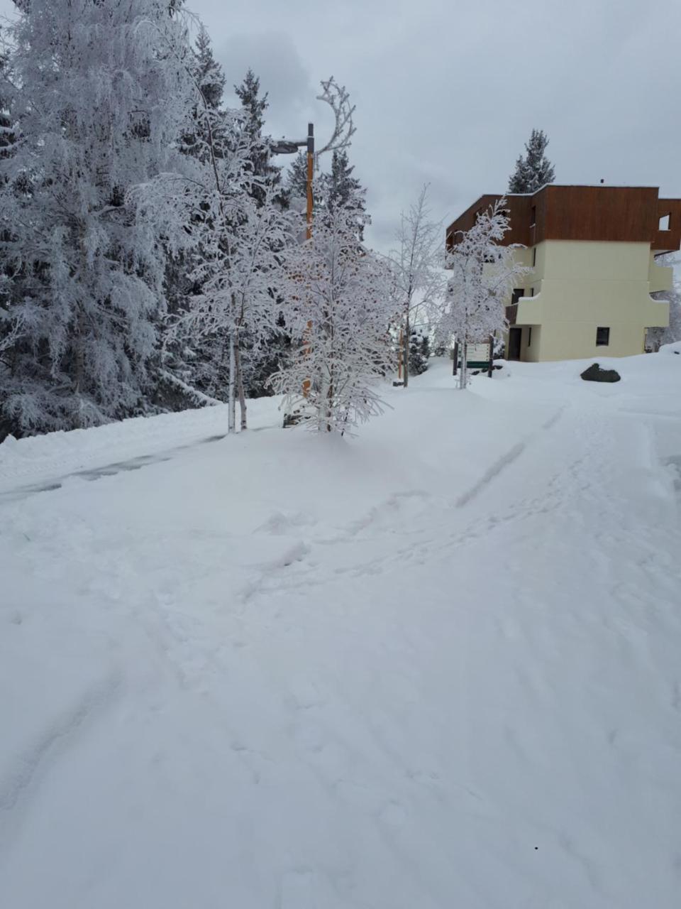 Vvf Les 7 Laux Massif De Belledonne Hotel Prapoutel Eksteriør billede